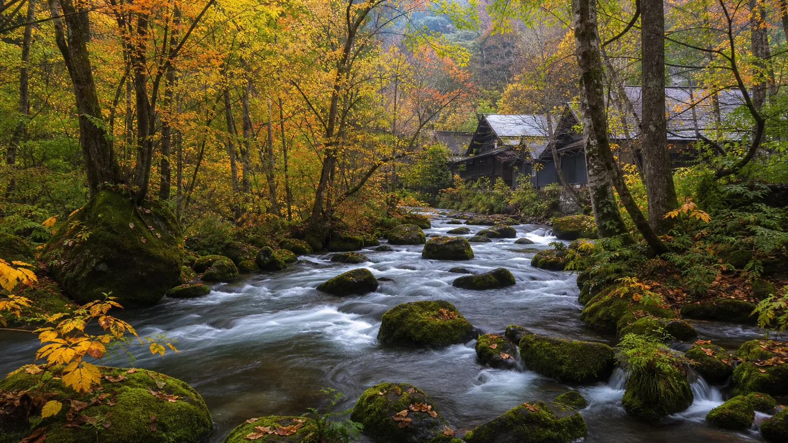 Tohoku Oirase Gorge stream with autumn colors