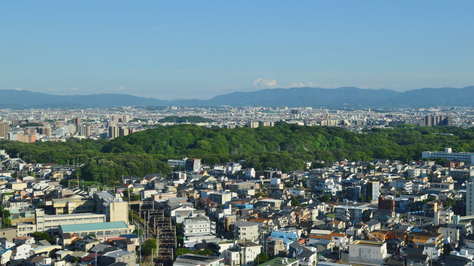 Sakai Guide: Kofun Balloon, Tea, Knives & Tram Access