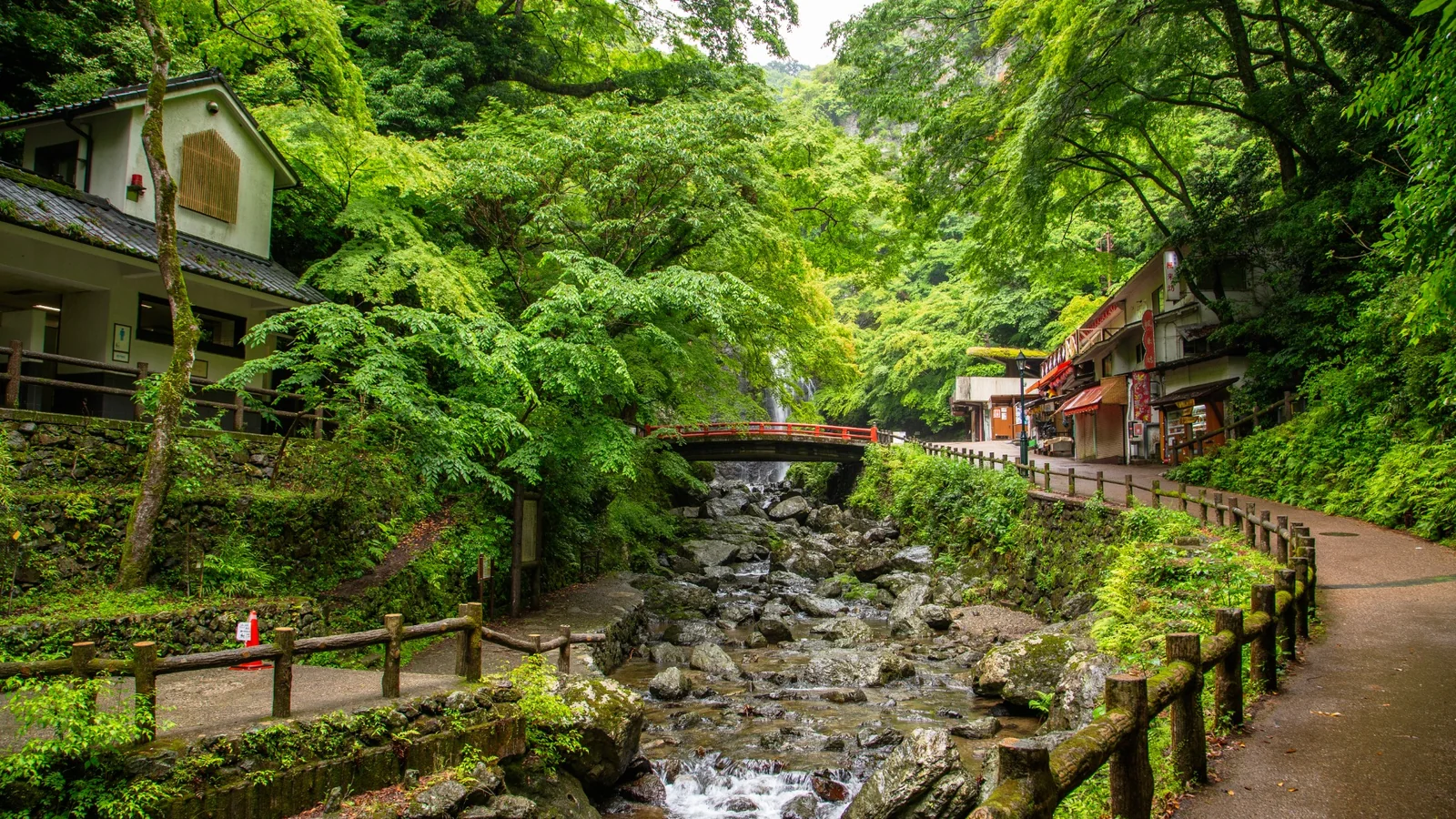 Riverside walking trail surrounded by green forest in Minoh Park, Osaka