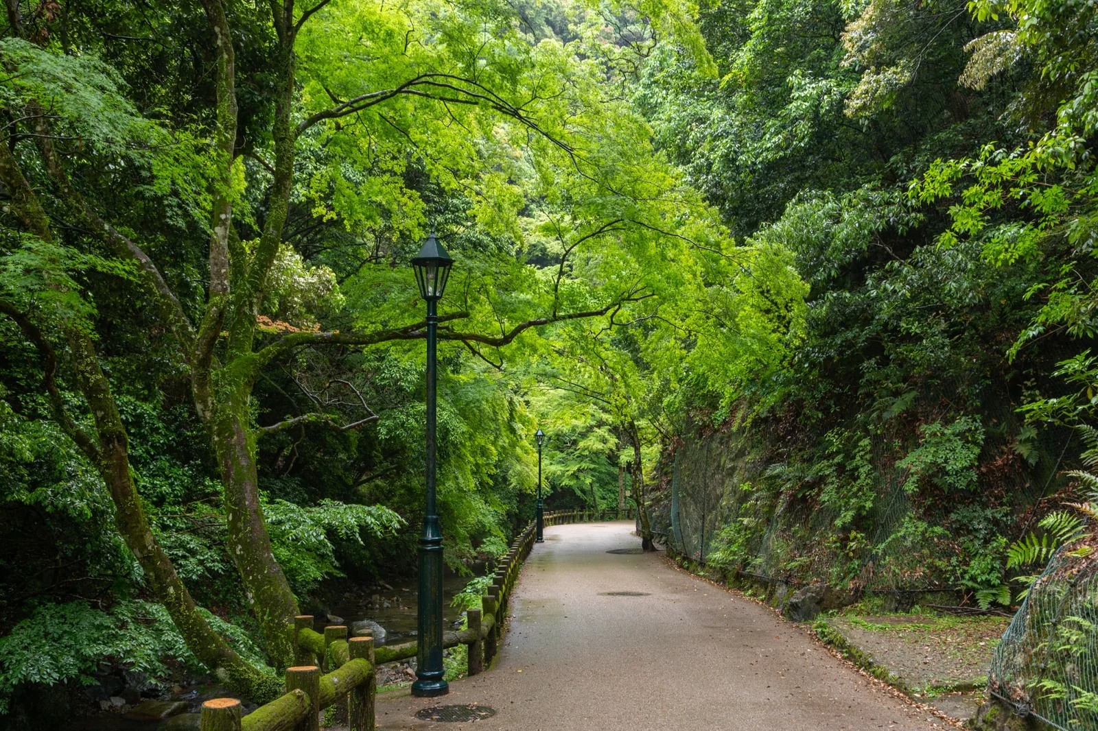 Easy paved forest trail leading toward Minoh Falls in Osaka