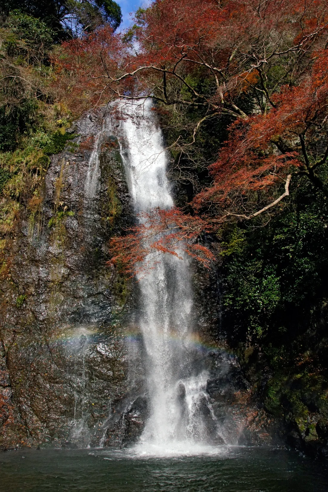 Minoh Falls surrounded by autumn leaves in Osaka