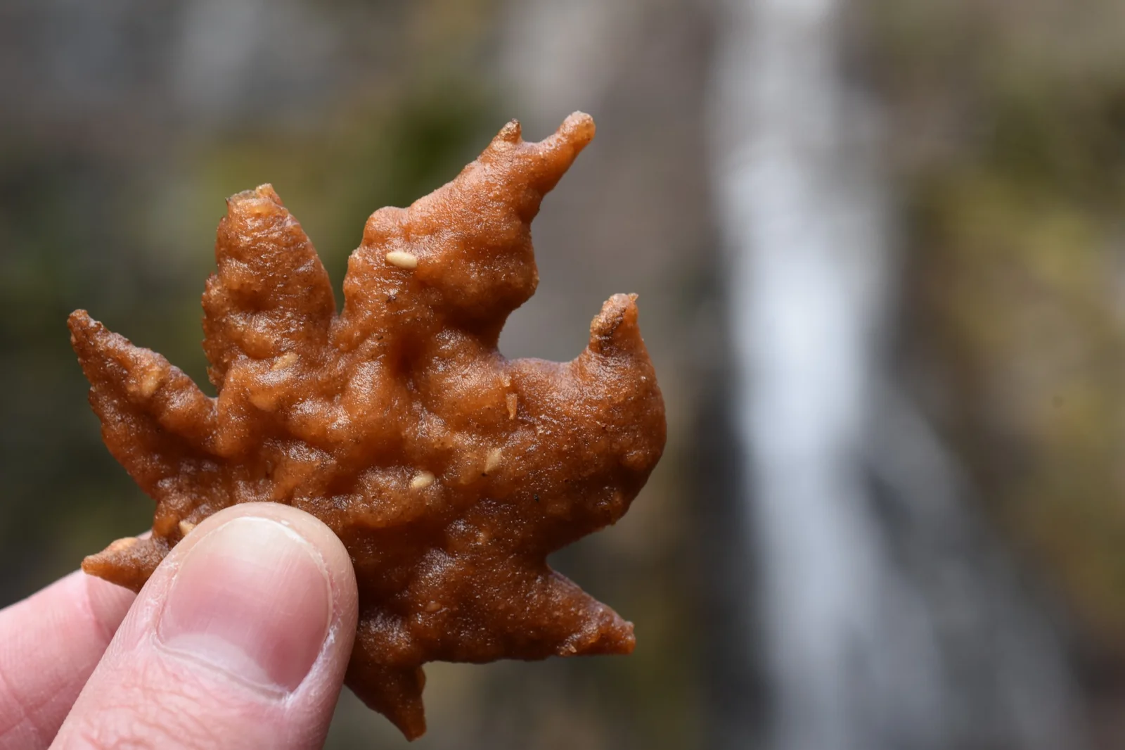 Momiji tempura maple leaf snack with Minoh Falls in the background