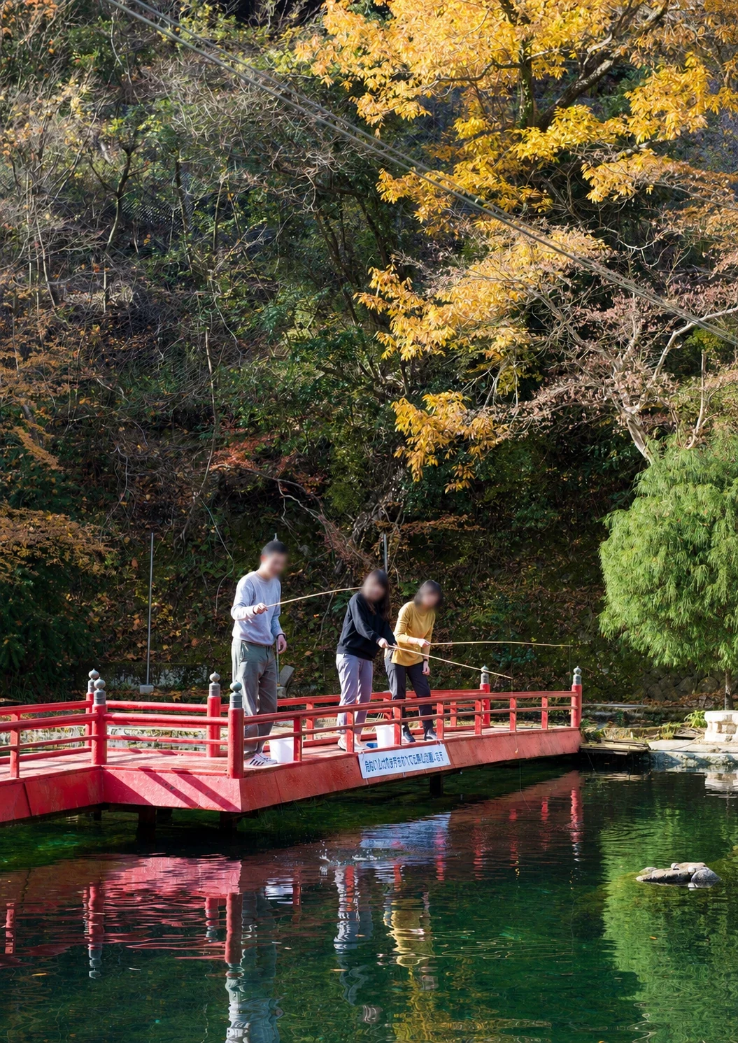 Visitors fishing for rainbow trout at Arima Trout Pond in autumn