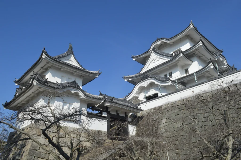 Iga Ueno Day Trip from Osaka: Ninja, Castle & Iga Beef