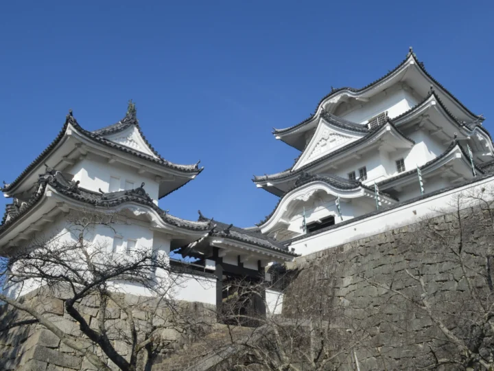 Iga Ueno Day Trip from Osaka: Ninja, Castle & Iga Beef
