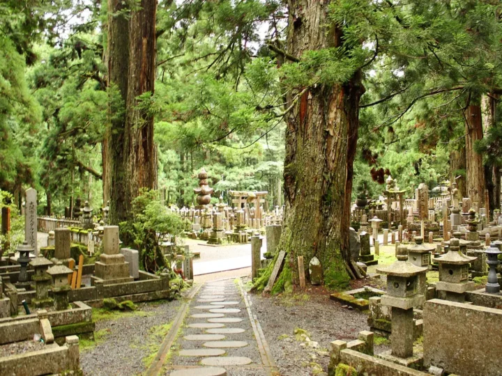 Koyasan from Osaka: Day Trip or Overnight Temple Stay?
