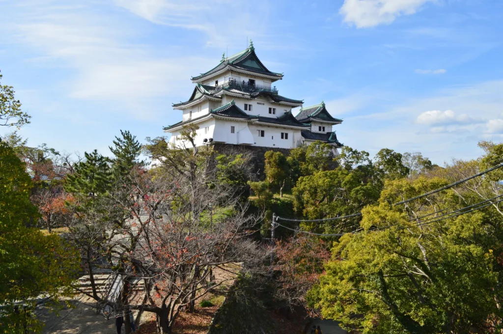 Wakayama City Day Trip from Osaka: Castle, Ramen & Seaside Japan