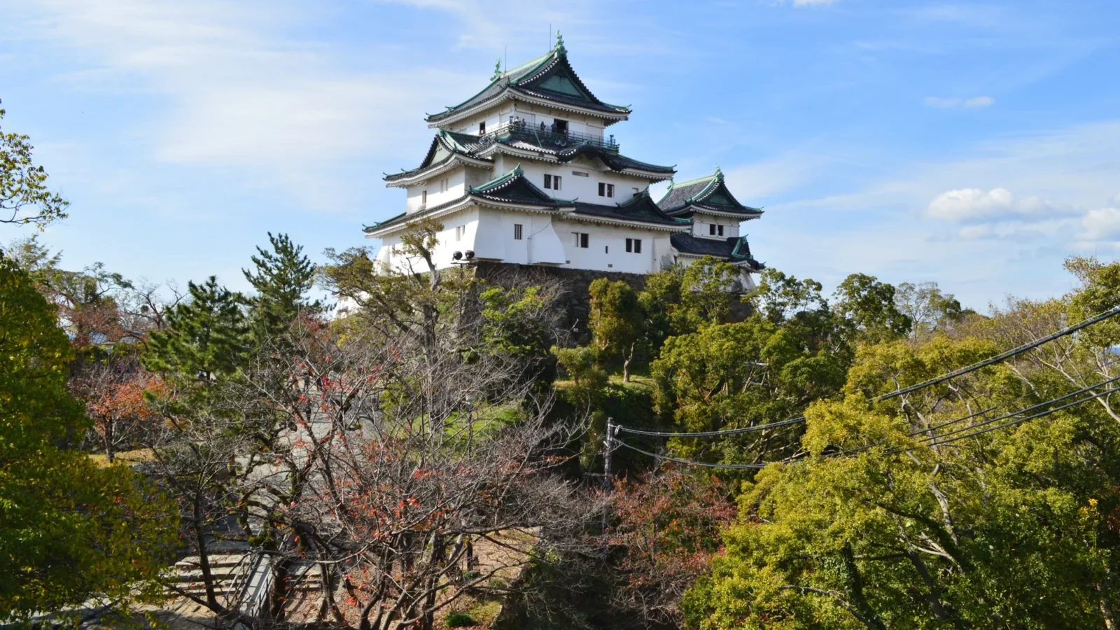 Wakayama Castle overlooking Wakayama City