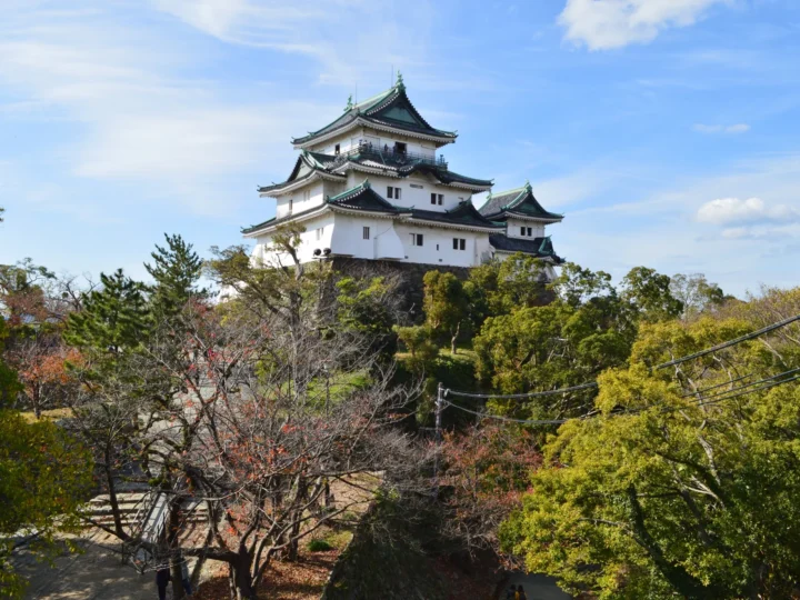 Wakayama City Day Trip from Osaka: Castle, Ramen & Seaside Japan