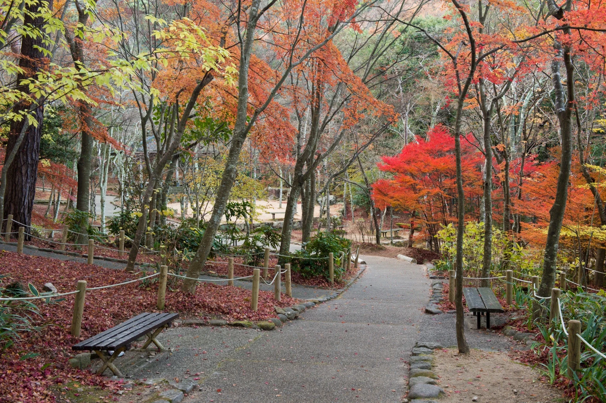 Autumn foliage along a walking path in Zuihoji Park, Arima Onsen