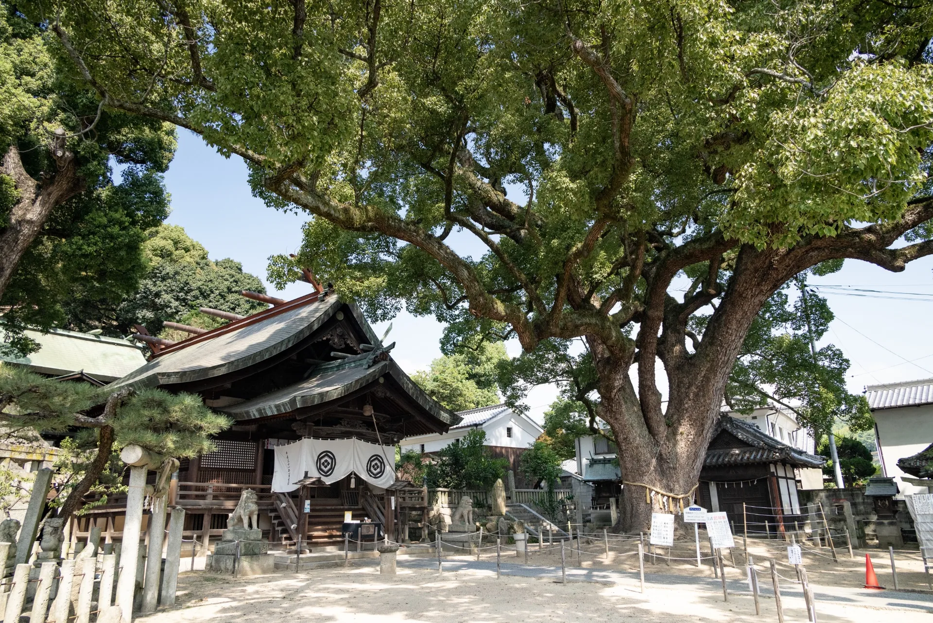 Ushitora Shrine and its giant camphor tree in Onomichi